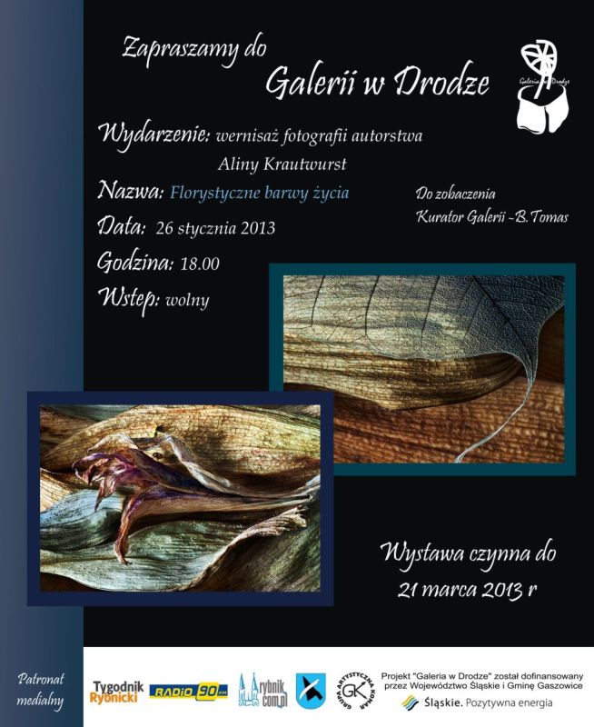 plakat_ALINA_b.may