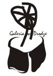 logo_galeria_biale_tlo